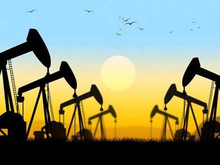 Oil pumps in a field